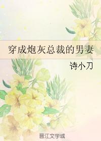 穿成炮灰总裁的男妻第27章