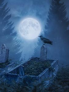 暗夜里的枪口