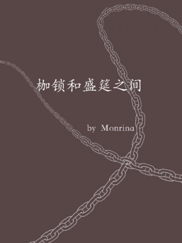 枷锁和盛宴之间小说阅读