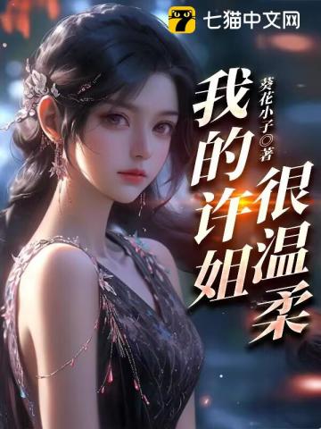 我的许姐很温柔txt百度云