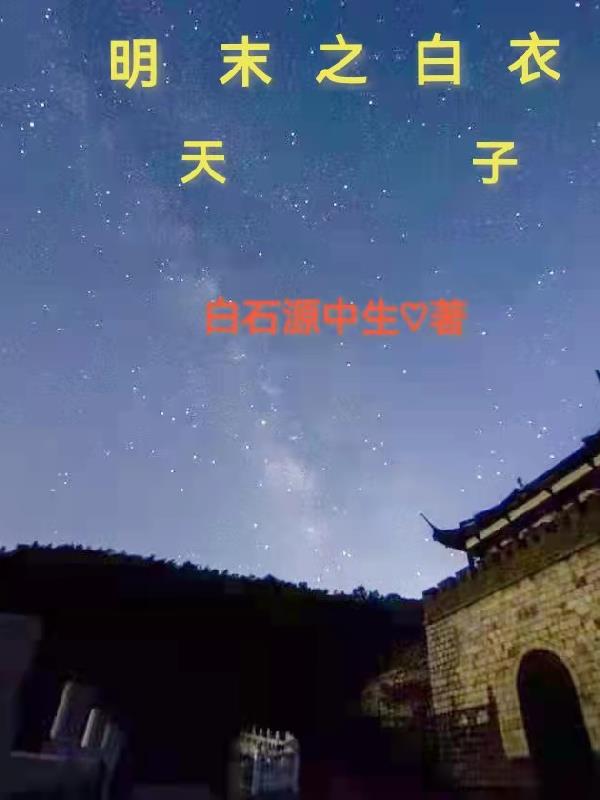 明末圣天子小说